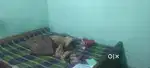 Single room @ dwarikapuri  road no.09 lower chutia ranchi