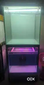 2 feet cube tank for sell