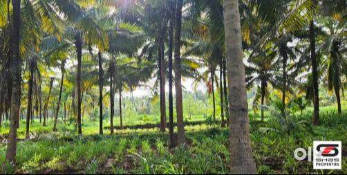 Farmland with house for sale in Walayar, Palakkad