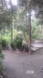 হাবরা নন্দন কাননে জায়গা বিক্রয়