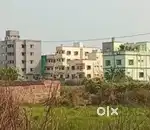 Govt road side gharabari corner plot at Gudiya pokhari, BBSR