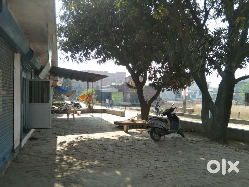 Female Assistant requiremet for Physiotherapy Clinic