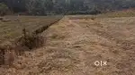 Ban die jaka ha laitkor wahsohkha