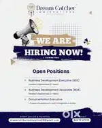 Business Development Executive