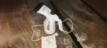 Handled Garment & Facial Steamer
