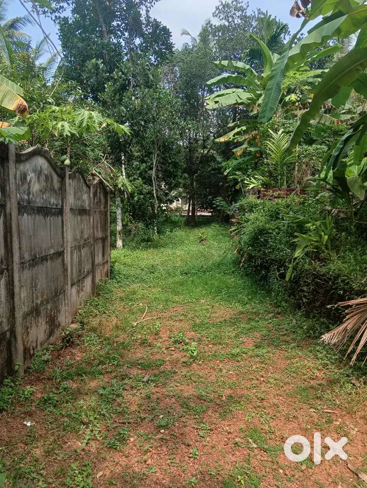 5 CENT LAND FOR SALE NEAR KOZHIKODE MEDICAL COLLEGE