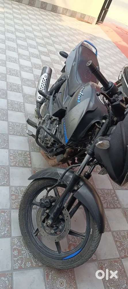 125cc pulsar