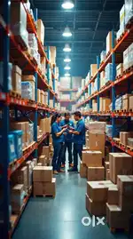 LOOKING FOR FRESHERS AND EXPERIENCED FOR WAREHOUSE COMPANY