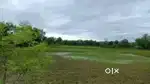 Agriculture land.
