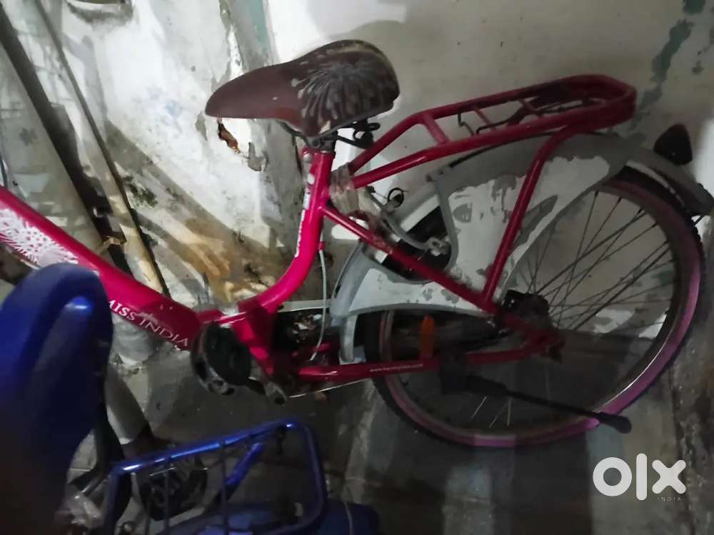 Lady bird, blaze hero