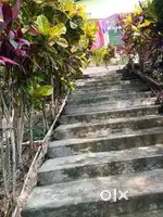 House for sale only genuine buyer contact