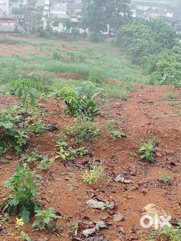 10cent plot at edavetty thodupuzha