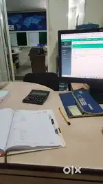 Assistant accountant