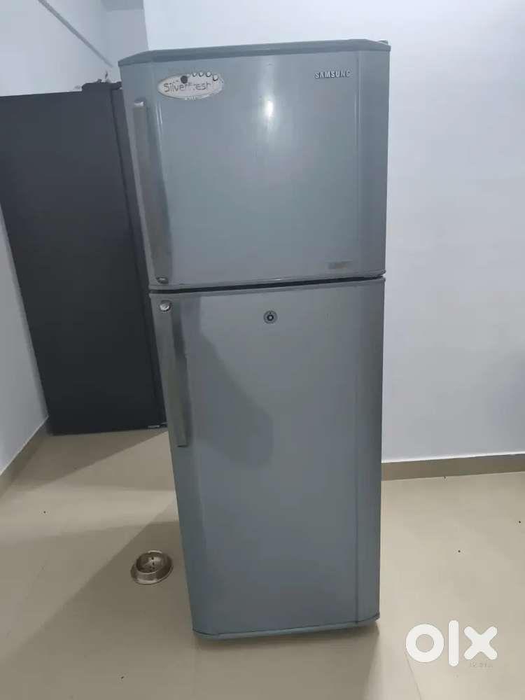 Samsung 260 litre refrigerator, double door fridge