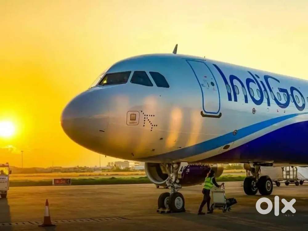 Huge hirings in aviation industry, Apply here!
