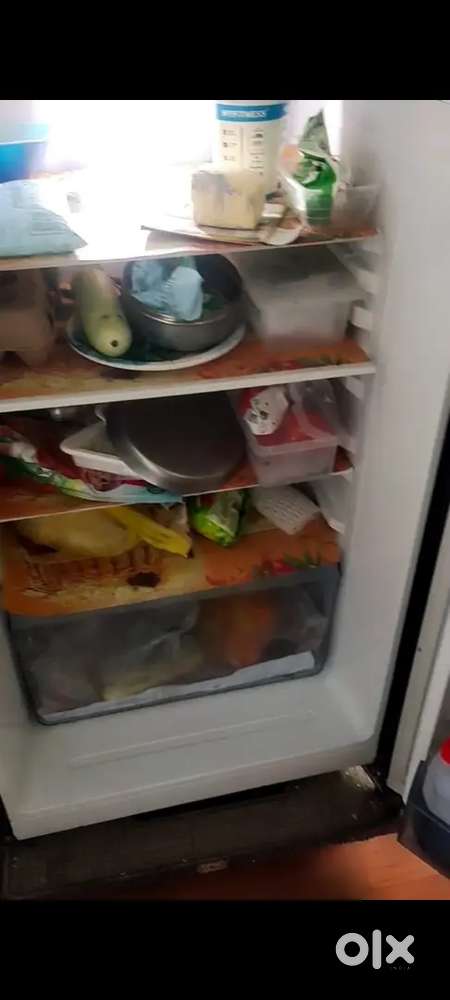 Refrigerator for sell