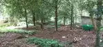 30 CENT LAND FOR SALE AT ANGAMALY KARUKUTTY
