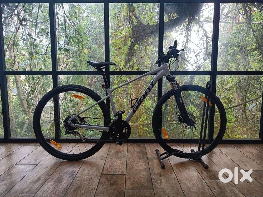 Giant cycle for sale