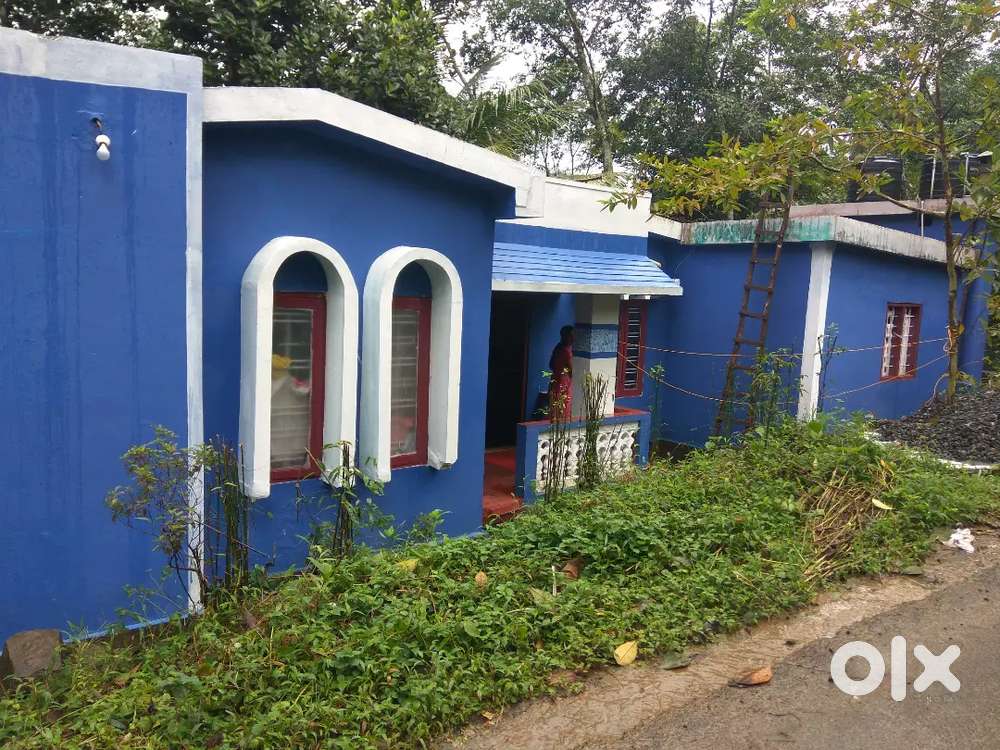 Old house and 33 cent property Urgent sale