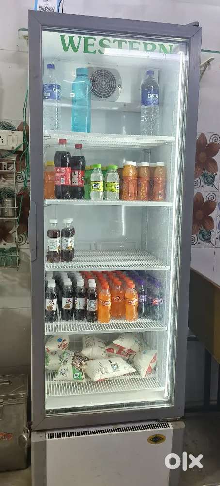 Western fridge transparent door