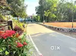 21 CENT ORGINAL LAND IN KAKKANAD INFOPARK NEAR EDACHIRA