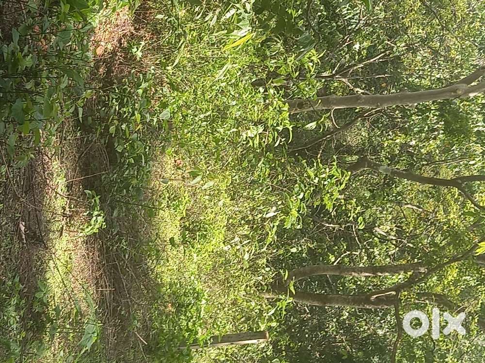 Plot for sale near national highway 100 mtrs