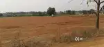 1 acre land for lease