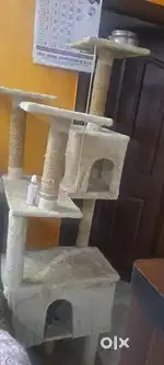 Cat house for sale