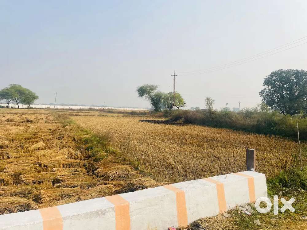 3 acre 41 dismil land we are selling beside rewa airport