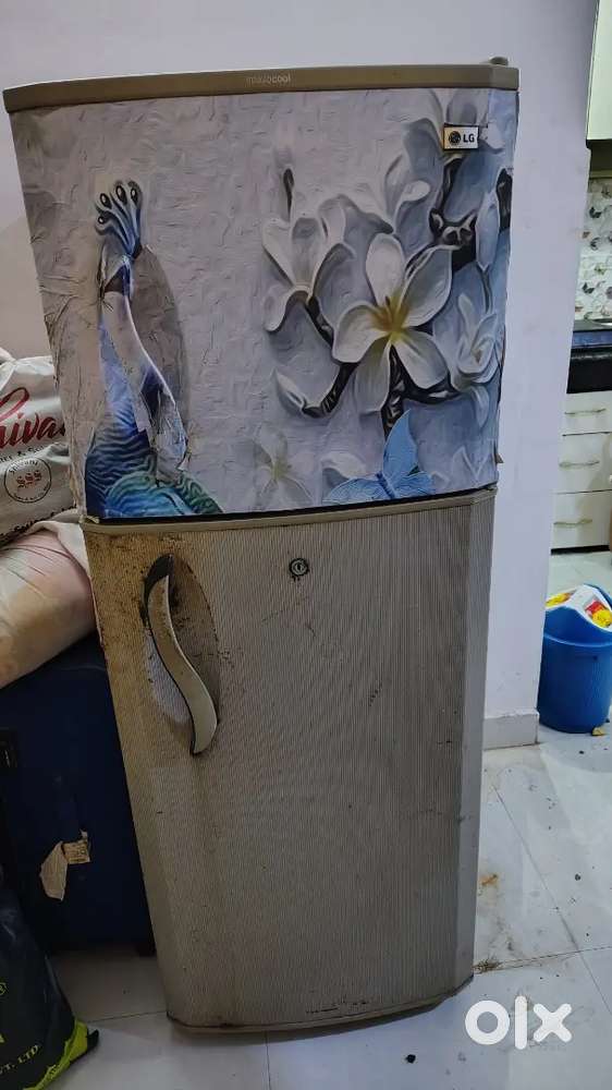 Double door LG refrigerator