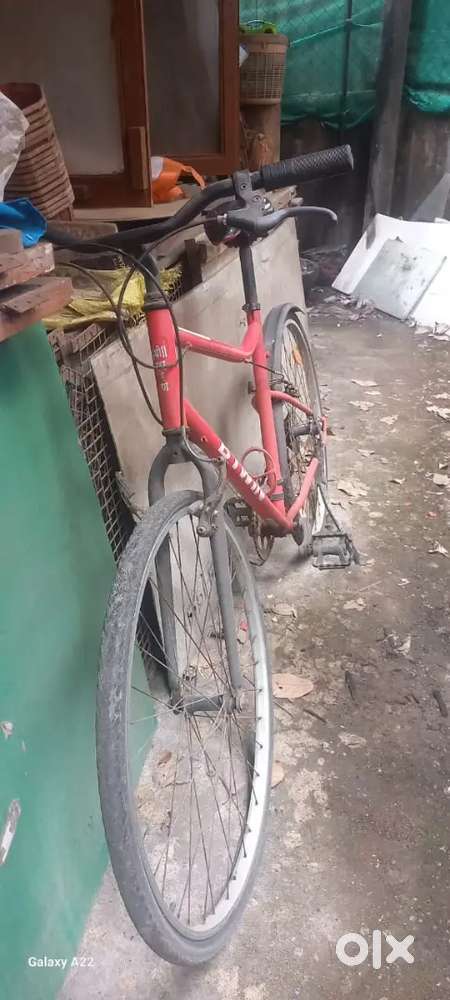 Sport Gear bicycle