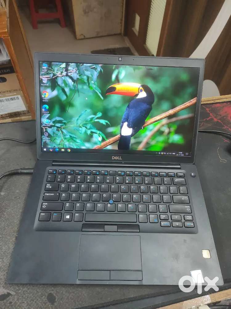 Dell Core i5 8th Gen, 16gb DDR4 RAM, 256 SSD, 4gb graphics