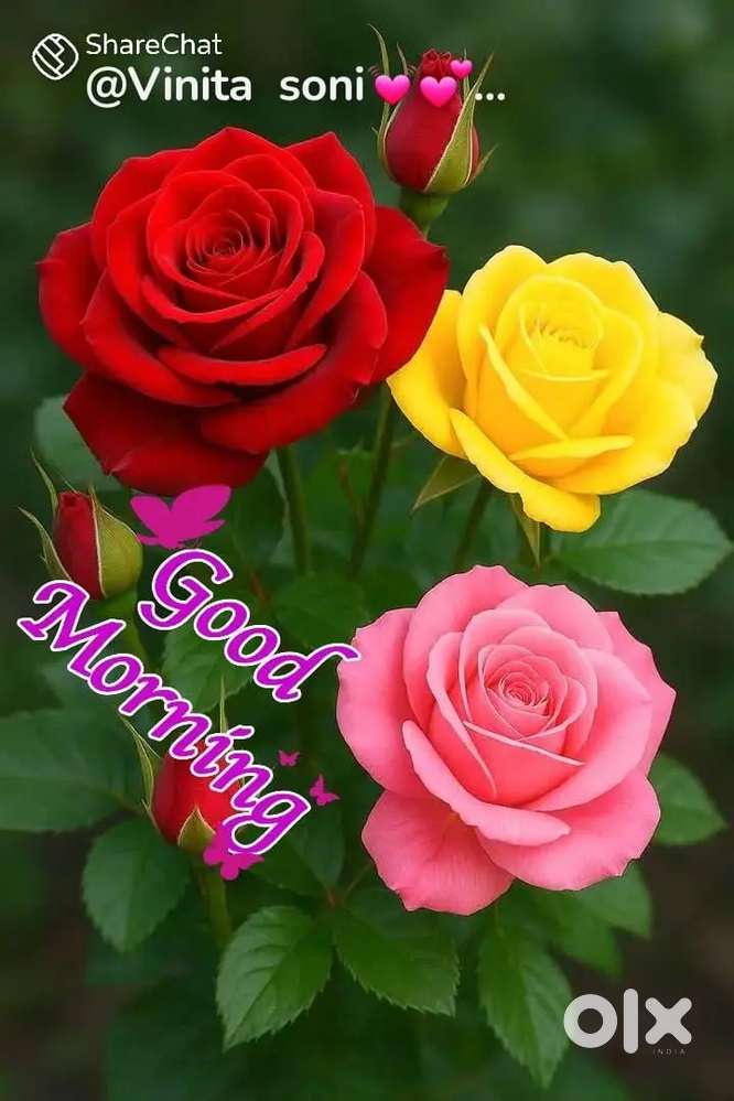 Umiyakrupa society modhera road,mehsana