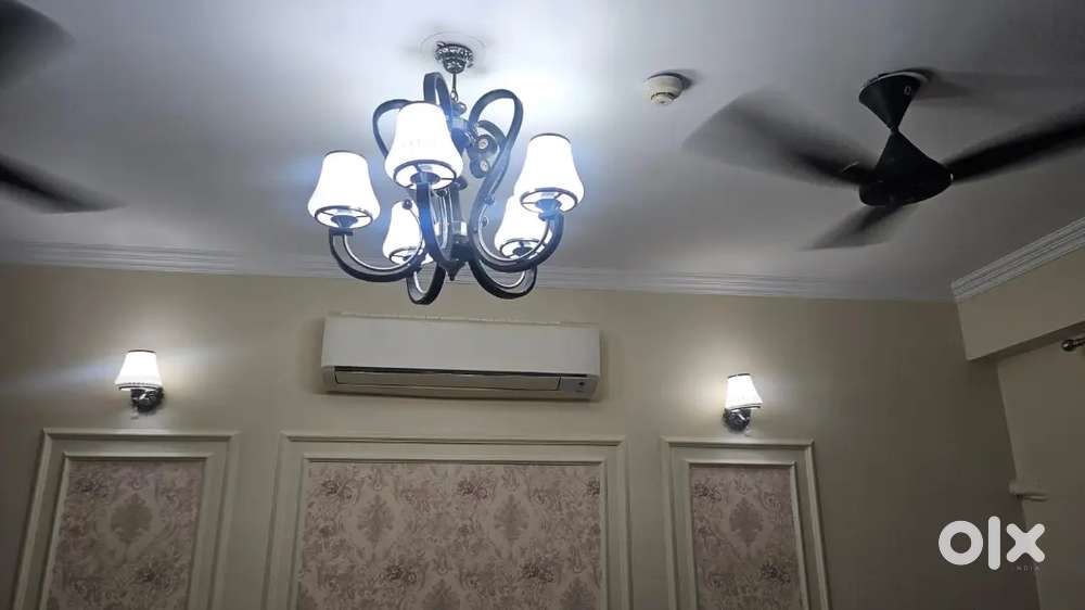 Beautiful 5 light Chandelier at 6000