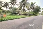 4.5  CENT ORGINAL LAND  IN KONGORPILLY NEAR NEERICODE PWD ROAD FRONT