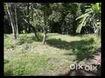 Plot for sale at mangadu