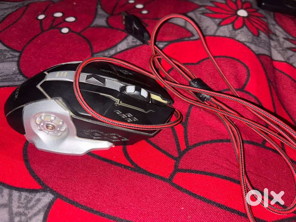 Rgb Mouse wair