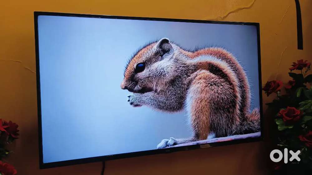 Mi Tv 4k 43 inch