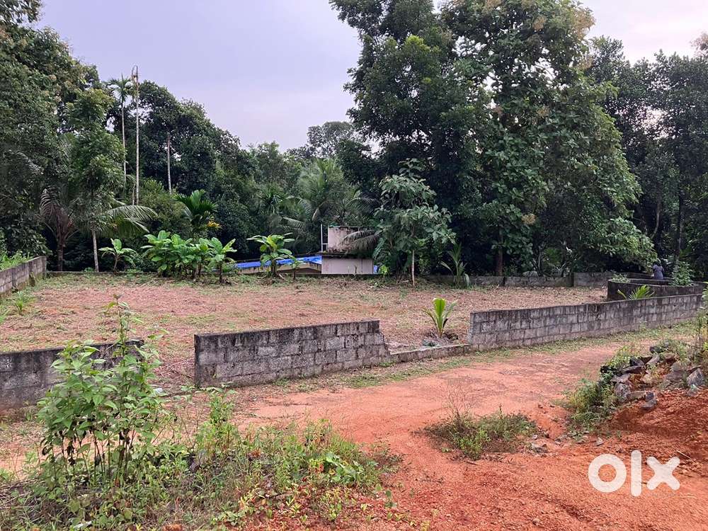 10 cent Plot for house at poovarani, pala . 250m from main road.