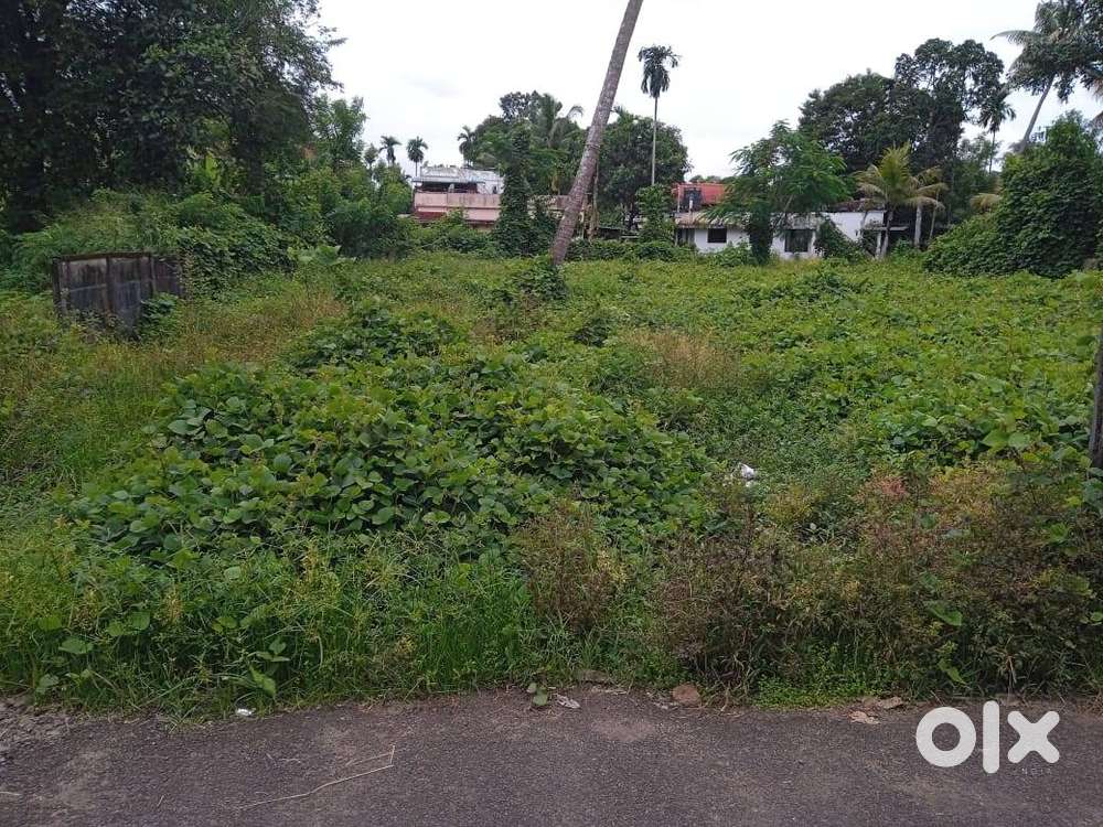 20 Cents of Land in Varapuzha.