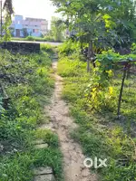 Plot for Rent