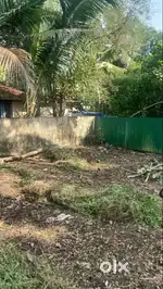 9.55 Cent Land for sale at Kannankulangara  Kidangu as whole or plots