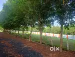 Plots for sale at bhogapuram