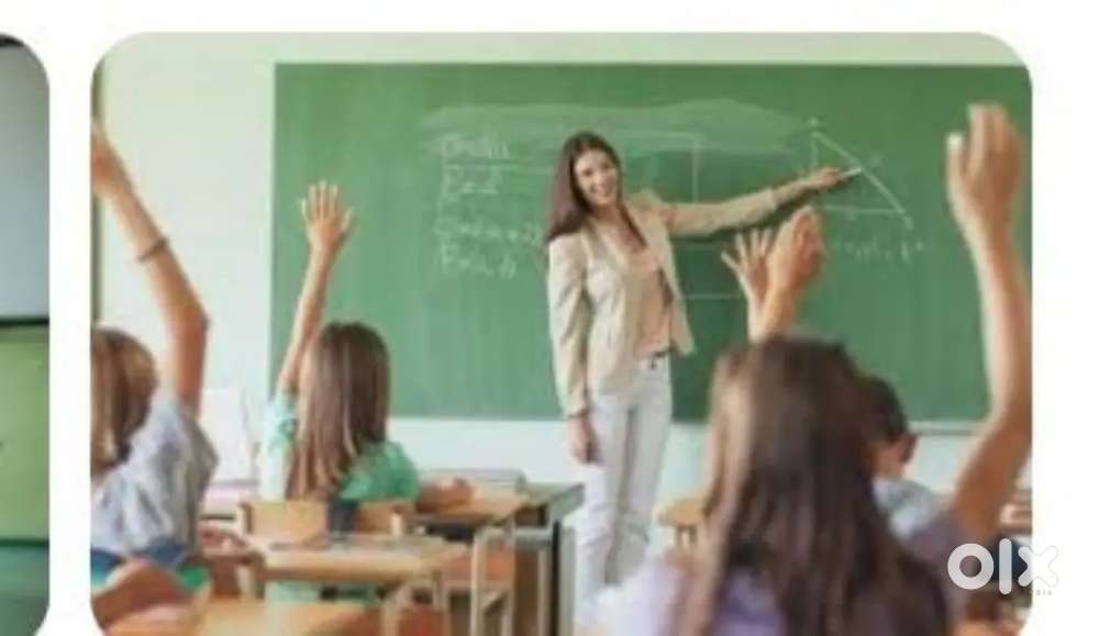 tutor (any subject according to your choice)