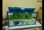Fish Tank  (empty)