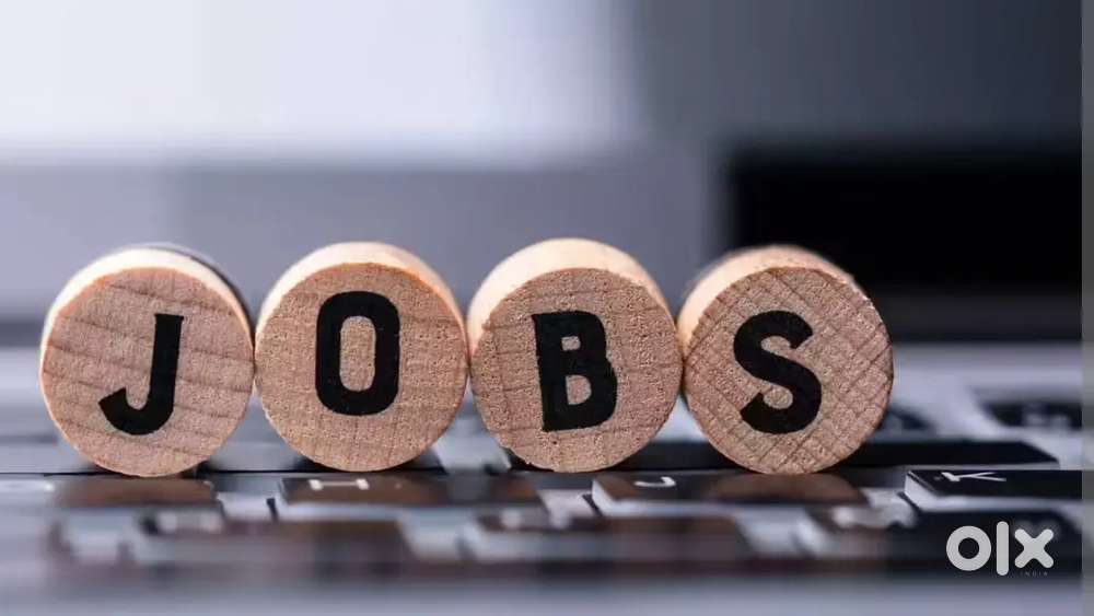 We need only 1 person