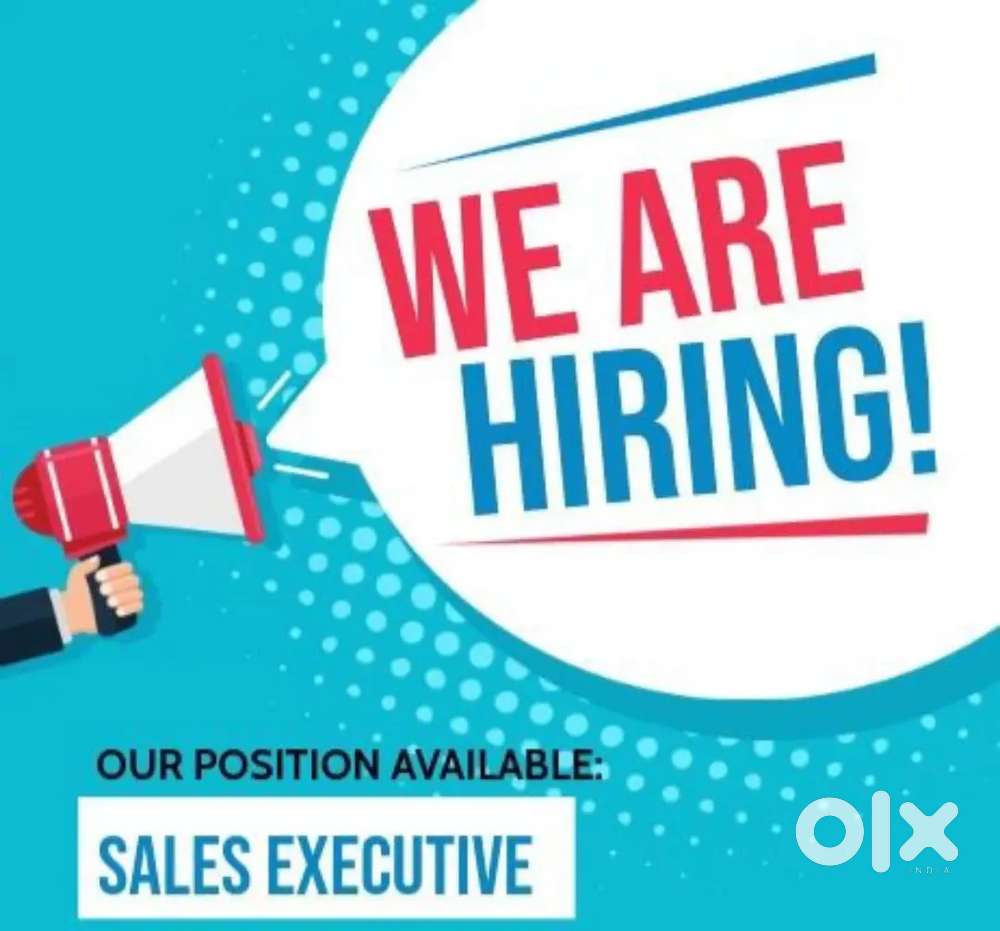 Asset and Team Management