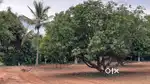 25 Cents to 50 Cents Far land for Sales