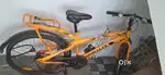 Unused cycle for 1 year