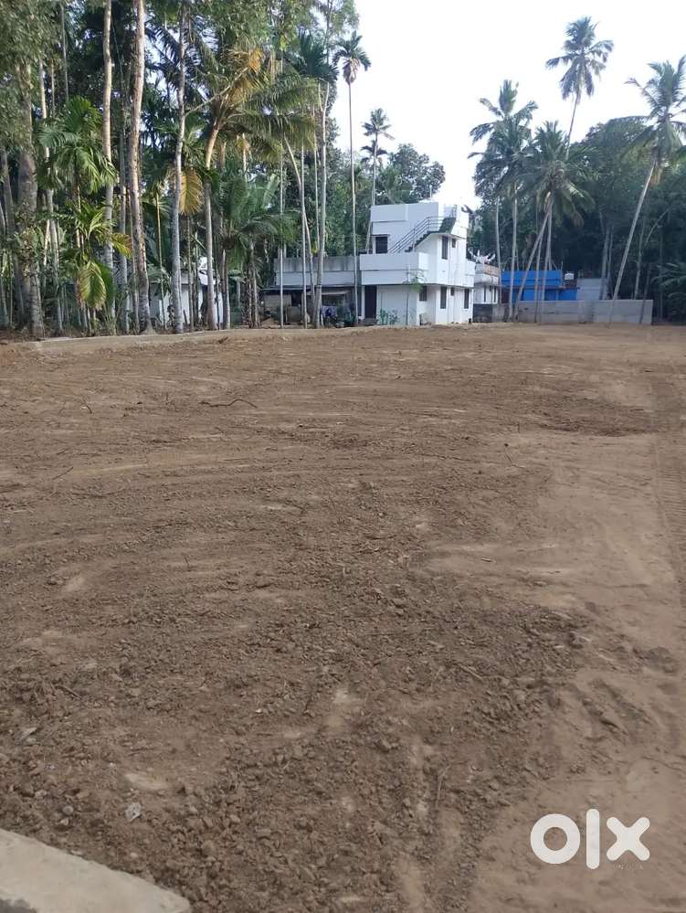 ₹3.75 lk Plot for sale  തിരുവനന്തപുരം കരുമം മധുപാലം